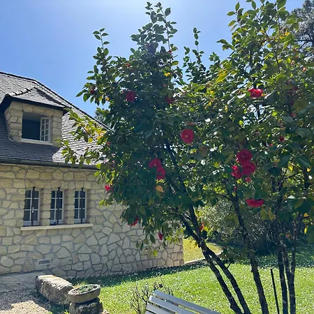 Villa Le Peruguet - Maison Avec Piscine Et Bois Prive
