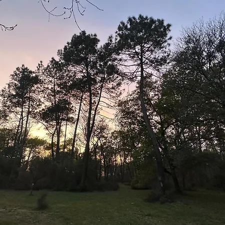 Le Peruguet - Maison Avec Piscine Et Bois Prive * Margueron