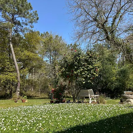 Villa Le Peruguet - Maison Avec Piscine Et Bois Prive Margueron