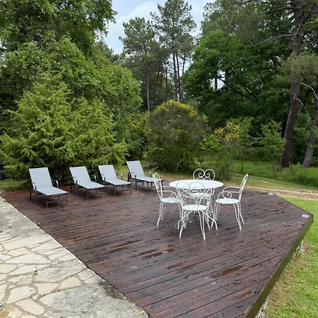 Vila Le Peruguet - Maison Avec Piscine Et Bois Prive Margueron